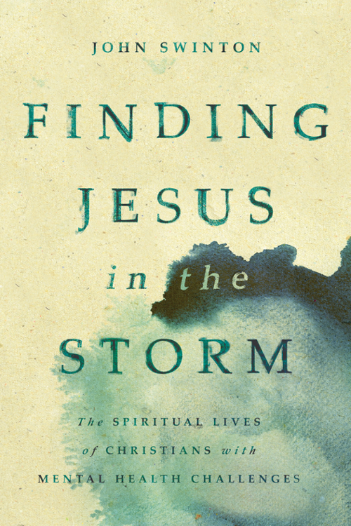 Finding Jesus in the Storm front cover