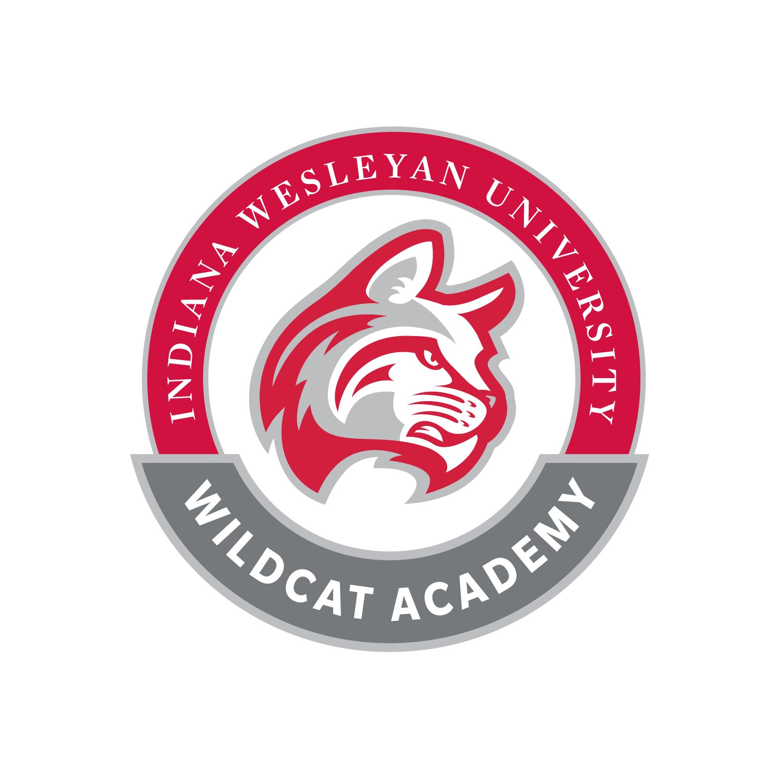 Wildcat Academy logo