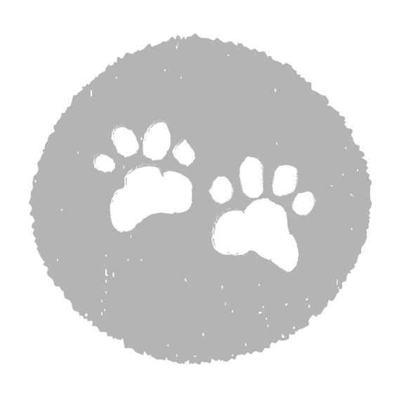 paw prints