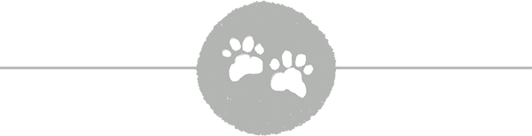 paw print