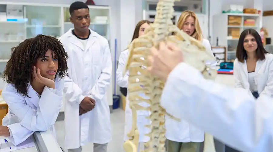 Associate to Master's in Nursing in Primary Care Nursing