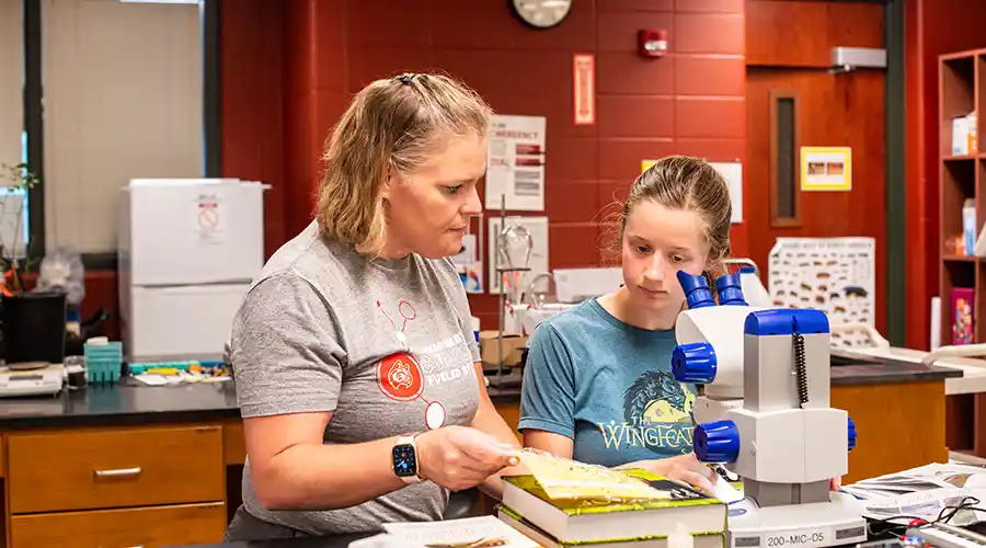 Associate to Master's in Nursing in Nursing Education