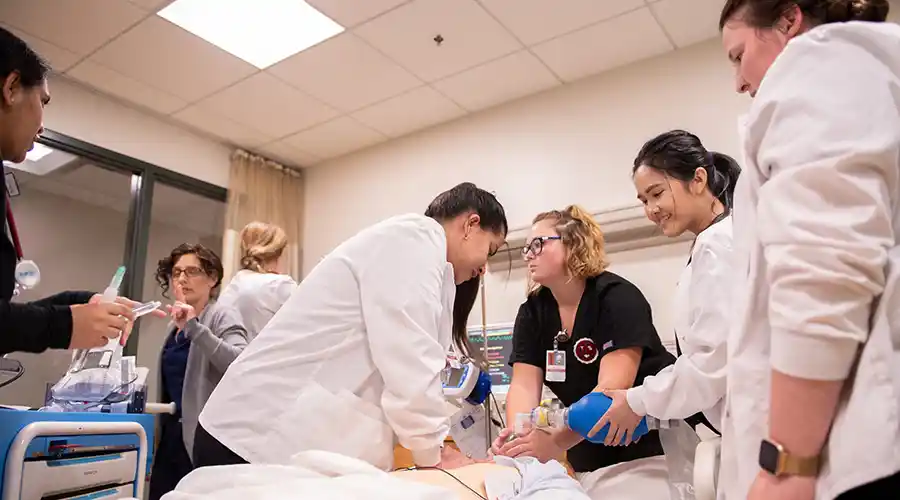 Associate to Master's in Nursing in Primary Care Nursing