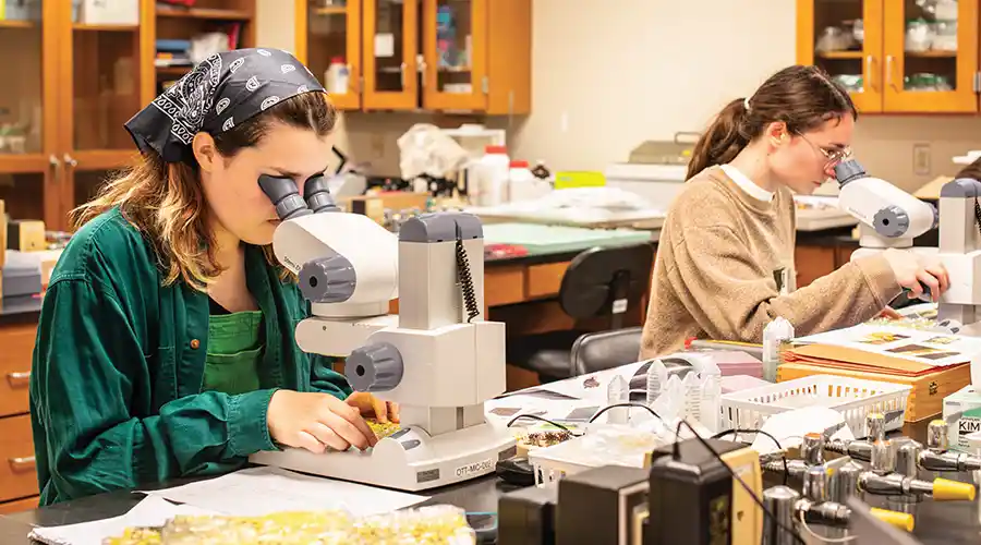 B.S. Biology Degree