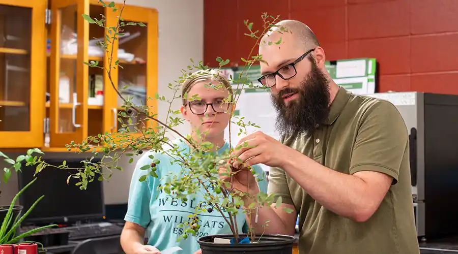 Biology Graduate Certificate