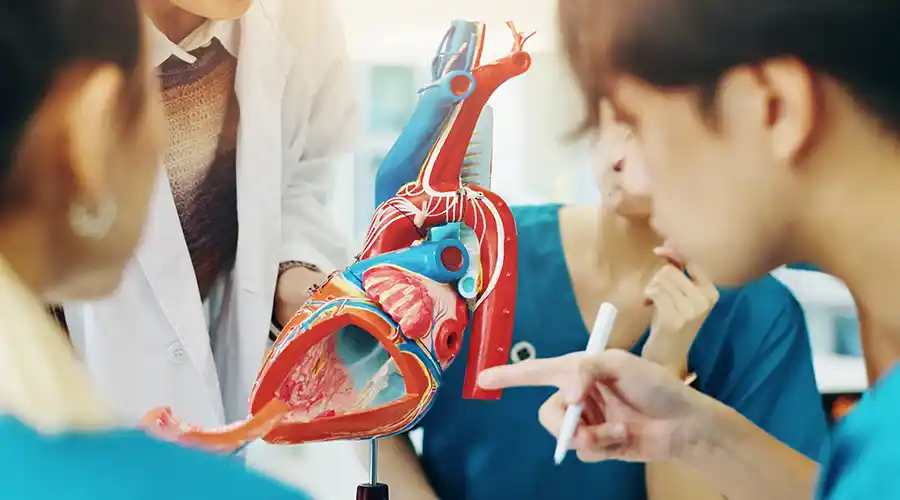 Post-MBA Master's in Nursing