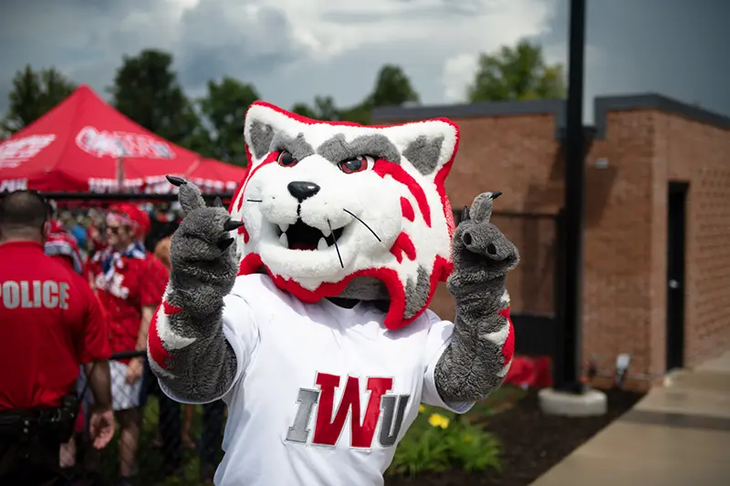 Meet Wesley Wildcat