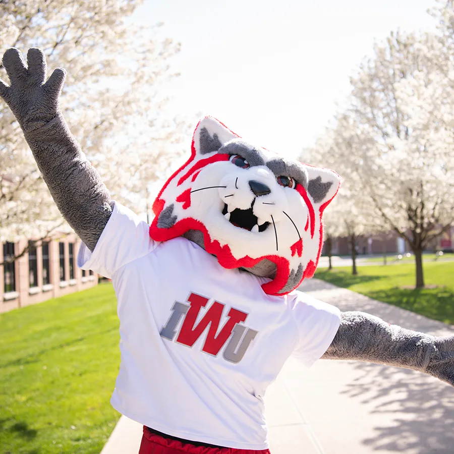 Wesley Wildcat