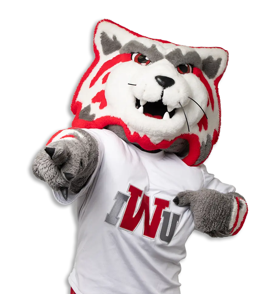 Wesley Wildcat