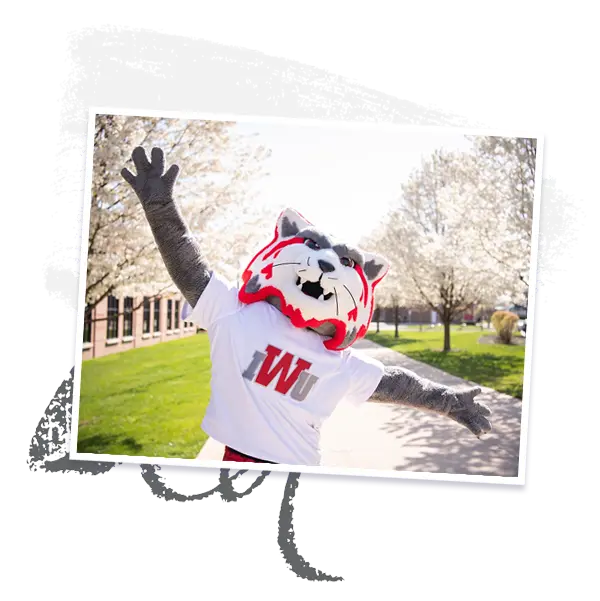 Wesley Wildcat
