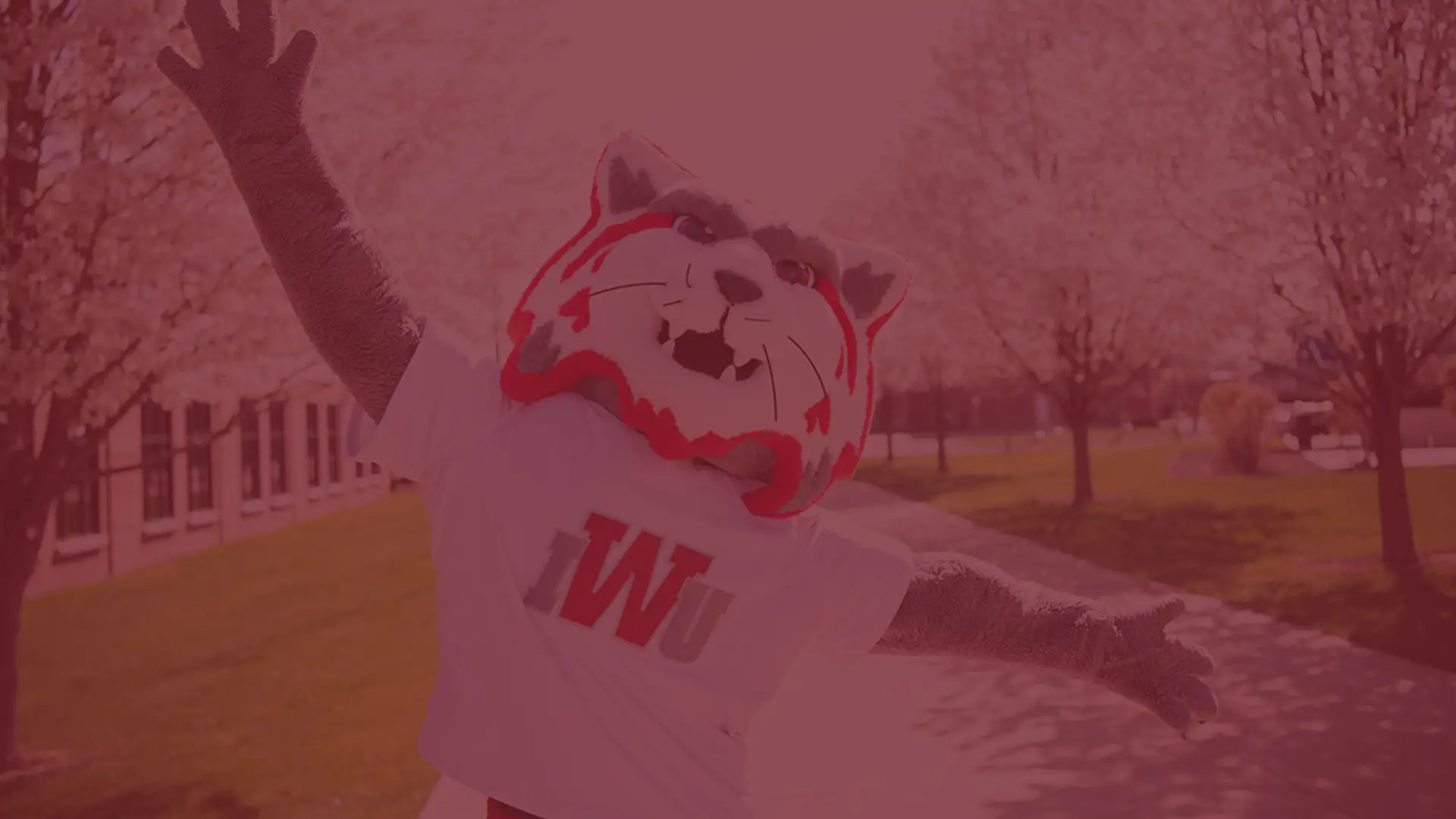 Rural Nursing Challenges & Opportunities