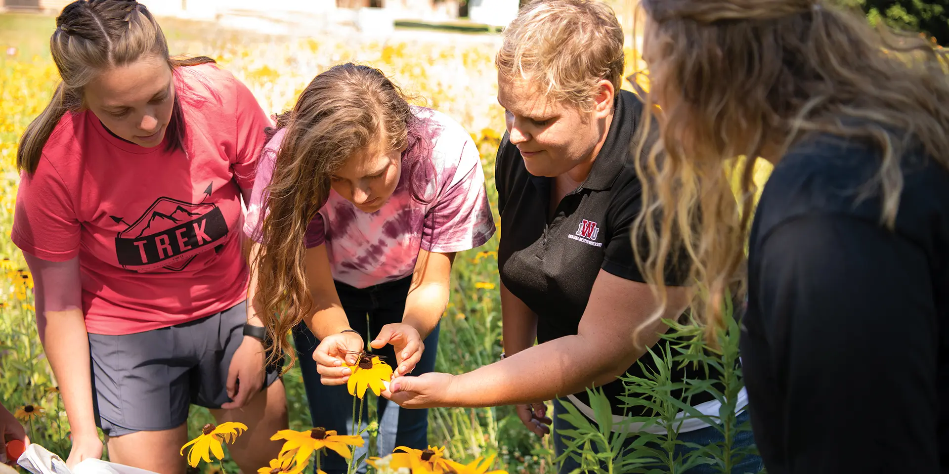 Advancing Neuroscience Through Undergraduate Research