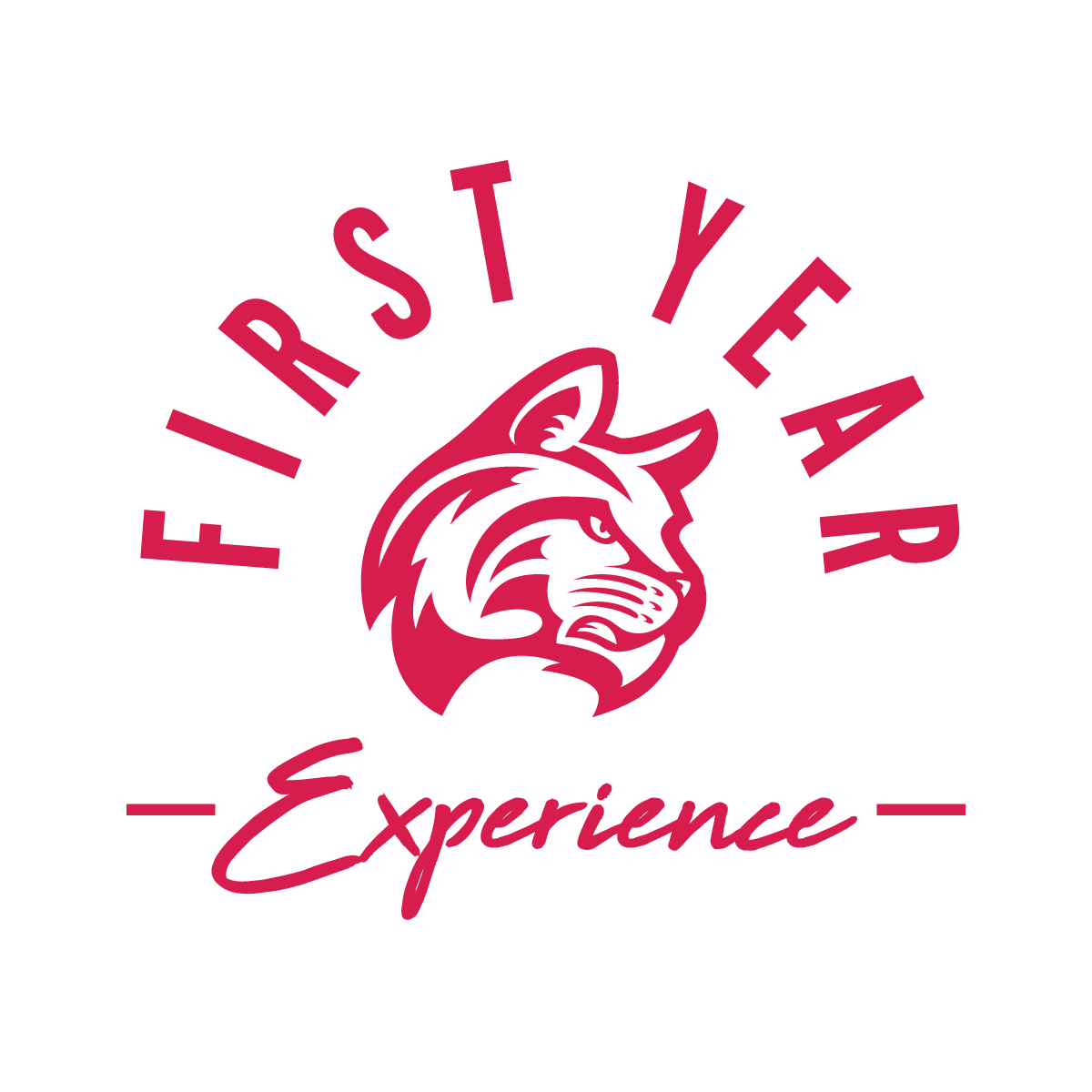FYE FINAL Logo